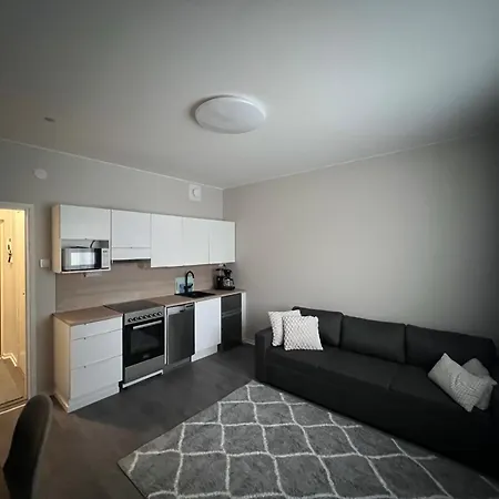 Newly Renovated In Centrum Of *