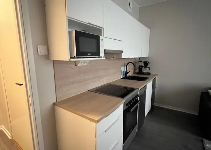 Newly Renovated In Centrum Of *