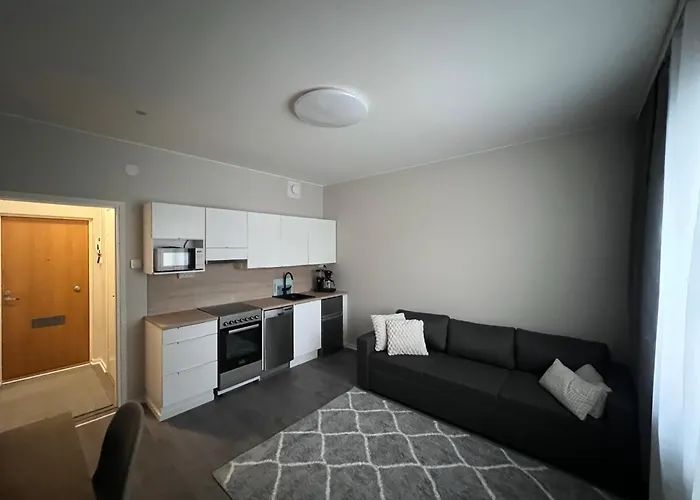 Newly Renovated In Centrum Of *